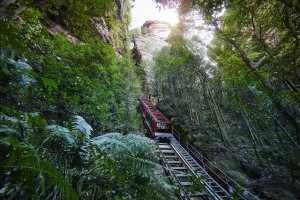 Scenic Railway in Blue Mountains